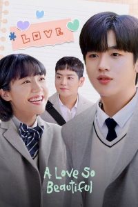 A Love So Beautiful (Complete) | Korean Drama